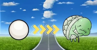 cuantos años vive una tortuga